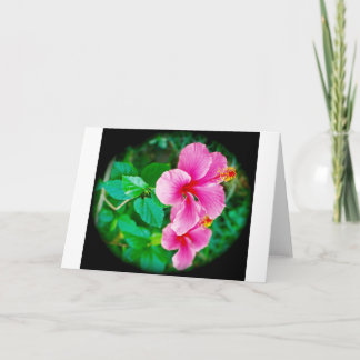 Glückliche Hibiskus-Anlassgrußkarte Karte