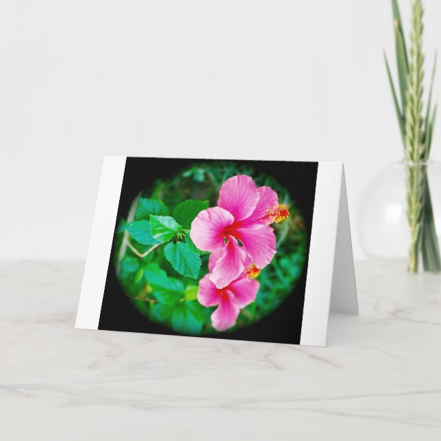 Glückliche Hibiskus-Anlassgrußkarte Karte (Vorderseite)