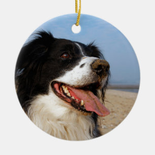Glückliche Hunde am Strand Keramikornament