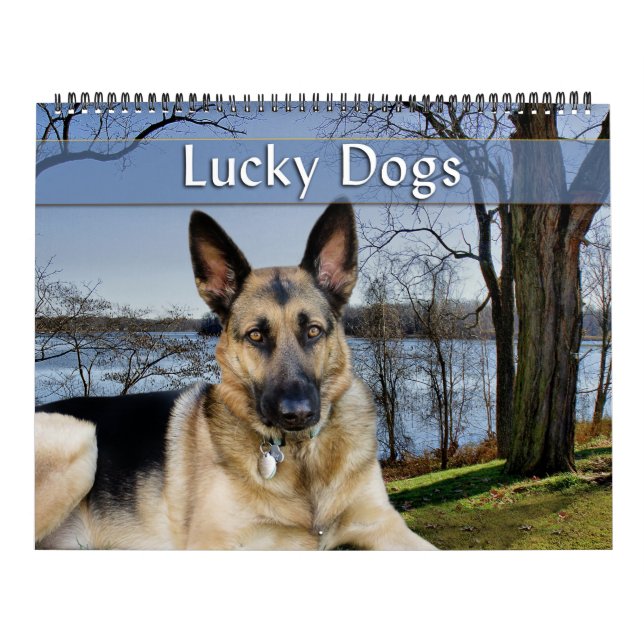 Glückliche Hunde Kalender Deutscher Hirte und mehr (Titelbild)