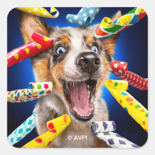 Glückliche Hundeparty-Tröten Quadratischer Aufkleber