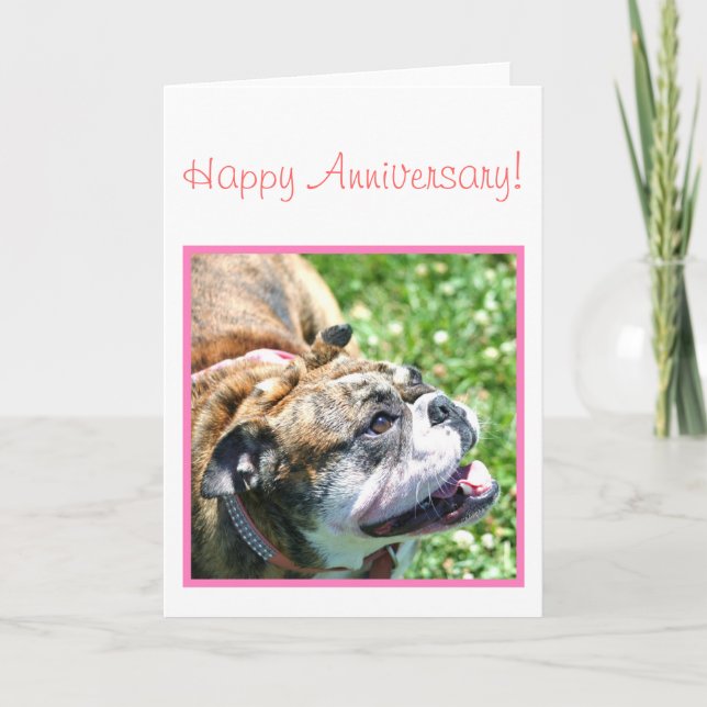 Glückliche Jahrestags-Bulldoggengrußkarte Karte (Vorderseite)