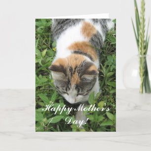 Glückliche Kaliko-Katzen-Grußkarte der Mutter Karte
