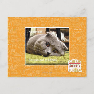 Glückliche Katze, aus Glück Postkarte