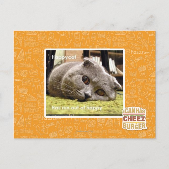 Glückliche Katze, aus Glück Postkarte (Vorderseite)