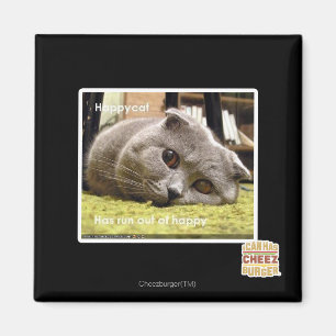 Glückliche Katze, aus glücklichem heraus Magnet