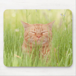 Glückliche Katze Mousepad