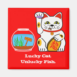 Glückliche Katze. Unglückliche Fische Magnet