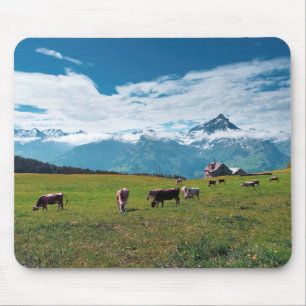 Glückliche Kühe auf dem Bauernhof in der Schweiz Mousepad