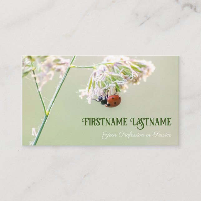 Glückliche Kunden mit glücklichen Ladybugs! Visite Visitenkarte (Vorderseite)