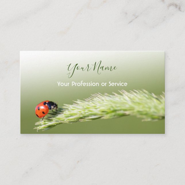 Glückliche Kunden mit glücklichen Ladybugs! Visite Visitenkarte (Vorderseite)