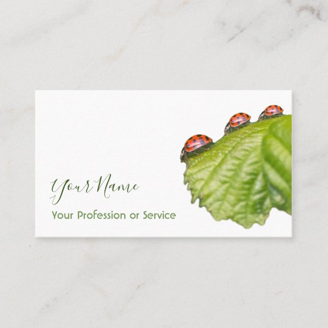Glückliche Kunden mit glücklichen Ladybugs! Visitenkarte (Vorderseite)