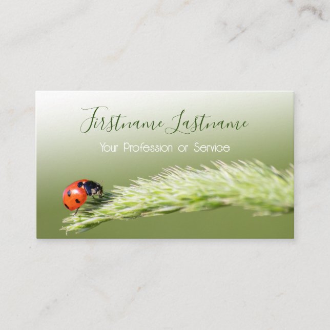 Glückliche Kunden mit glücklichen Ladybugs! Visitenkarte (Vorderseite)