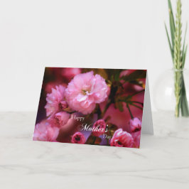 Glückliche Mütter Tag Frühling Rosa Kirschblüten Karte