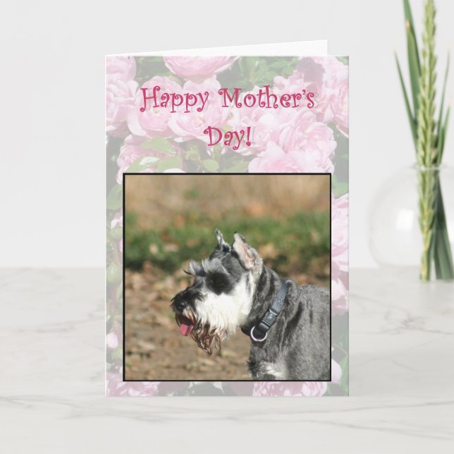 Glückliche Muttertag Schnauzer Hundekarte Karte (Vorderseite)