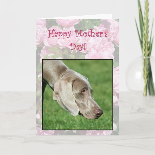 Glückliche Muttertag Weimaraner Grußkarte Karte (Vorderseite)