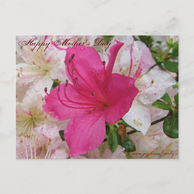 Glückliche Muttertagskarte Postkarte (Vorderseite)