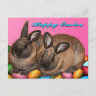 Glückliche Osterhasen Ostern Mit Ostereiern Feiertagspostkarte