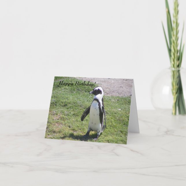 Glückliche Pinguin-Geburtstagskarte! Karte (Vorderseite)