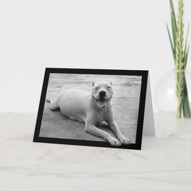 Glückliche pitbull Grußkarte Karte (Vorderseite)