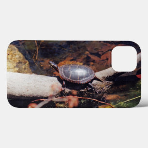 Glückliche Schildkröte iPhone 13 Hülle