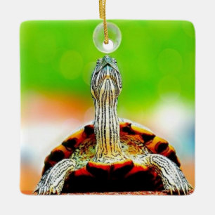 Glückliche Schildkröte mit Blase Keramikornament