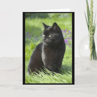 Glückliche schwarze Katze Karte
