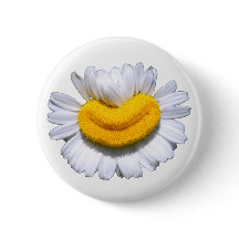 Glückliche strahlende Kamille Blume Lächeln