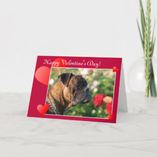 Glückliche Valentinstag-Boxer-Hundegrußkarte Feiertagskarte