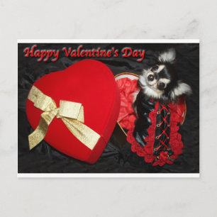 Glückliche Valentinstag-Chihuahua Feiertagspostkarte