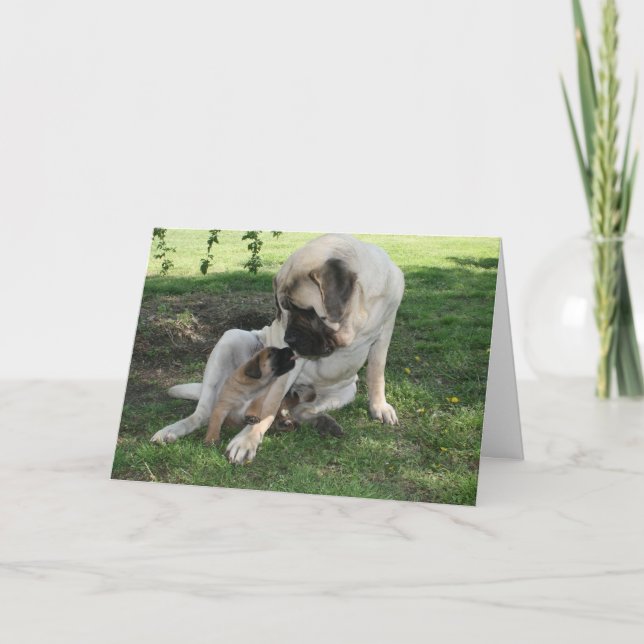 Glückliche Valentinstag-VaterMastiffkarte Feiertagskarte (Vorderseite)