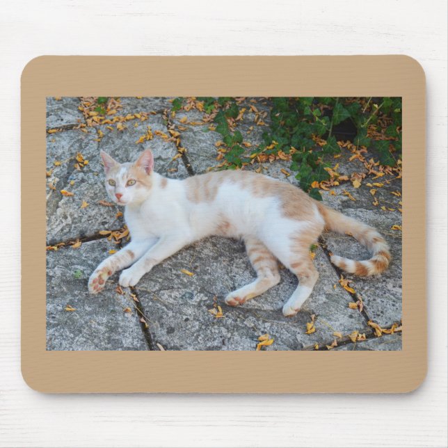 Glückliche Wakkatze Mousepad (Vorne)