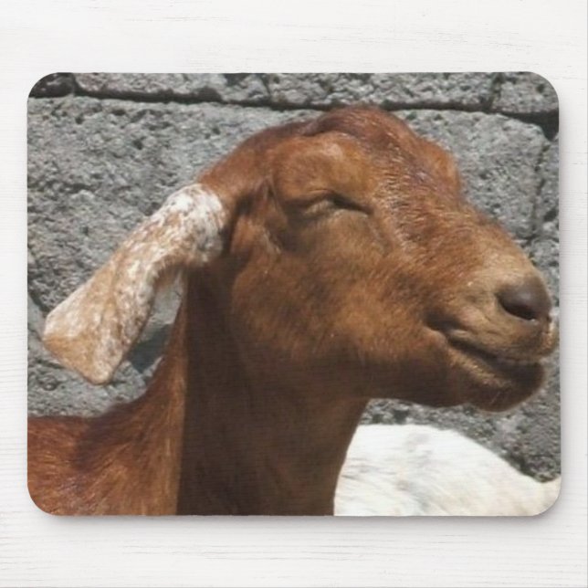 Glückliche Ziege Mousepad (Vorne)