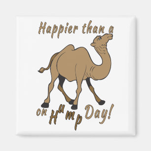 Glücklicher als ein Kamel am Hump Day Magnet