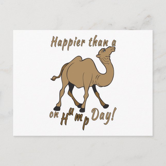 Glücklicher als ein Kamel am Hump Day Postkarte (Vorderseite)