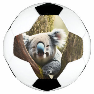 Glücklicher australischer Koala in Tree, Fußball-B Fußball