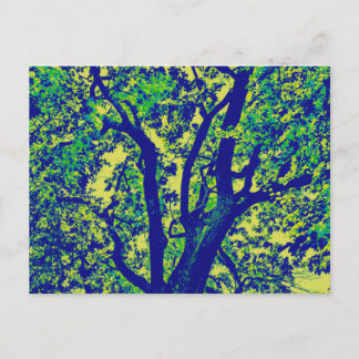 glücklicher Baum Postkarte