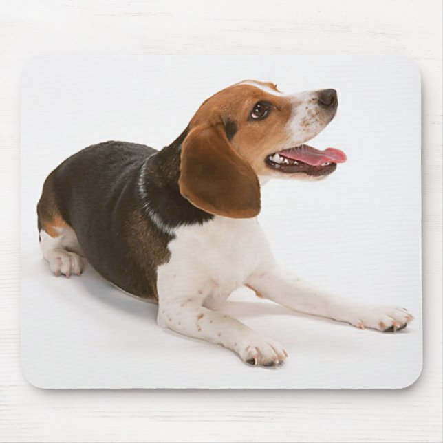 Glücklicher Beagle Mousepad (Vorne)