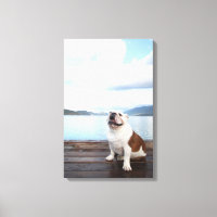 glücklicher Bullenhund sitzt auf Deck am See