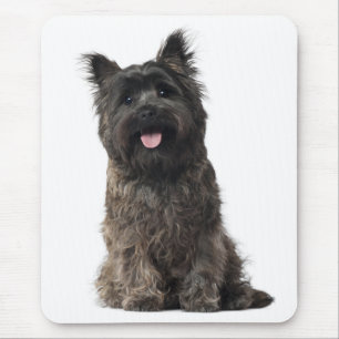 Glücklicher Cairn Terrier Welpe Hund Liebe Mauspad