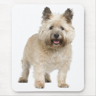 Glücklicher Cairn Terrier Welpe Hund Mauspad