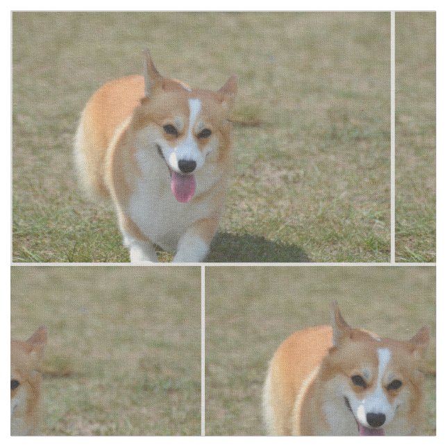 Glücklicher Corgi Stoff (Nahaufnahme)