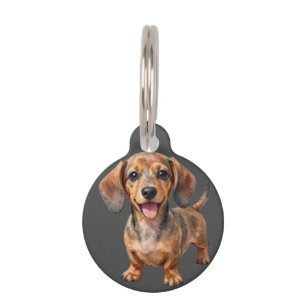 Glücklicher Dachshund-Welpe Haustiermarke