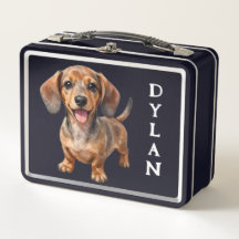 Glücklicher Dachshund-Welpe