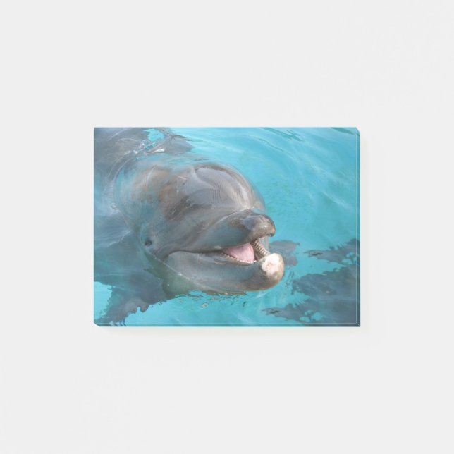 Glücklicher Delphin Post-it Klebezettel (Vorderseite)