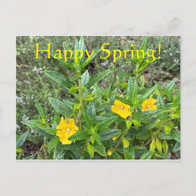 Glücklicher Frühling! Postkarte (Vorderseite)