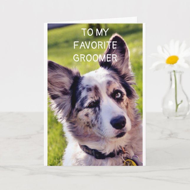 GLÜCKLICHER GEBURTSTAG **BELIEBTER HUND GROOMER** KARTE (Kleine Pflanze)