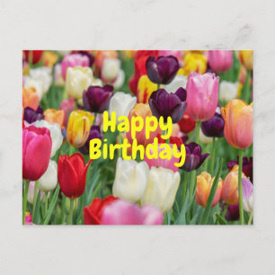 Glücklicher Geburtstag Bunte Tulpen Blumen  Postkarte