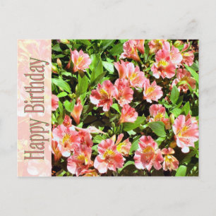 glücklicher Geburtstag Postkarte