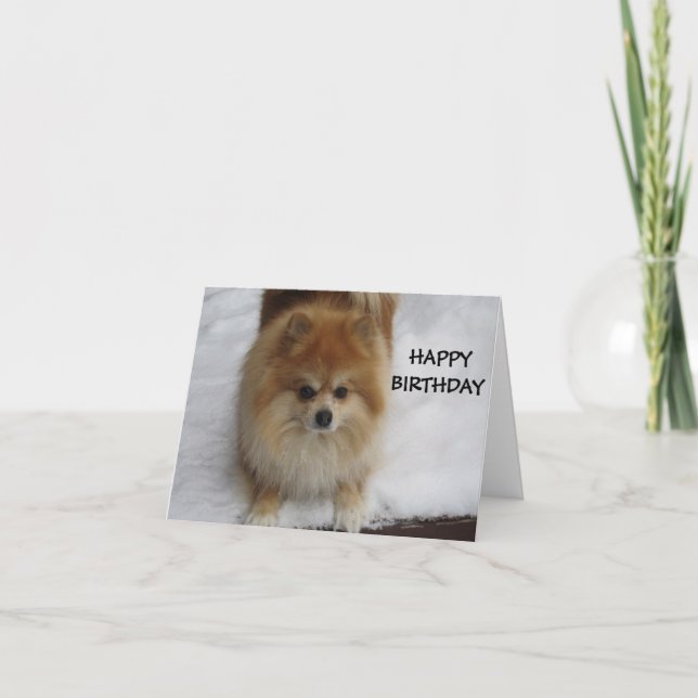 GLÜCKLICHER GEBURTSTAG SAGT DER SPITZ KARTE (Vorderseite)